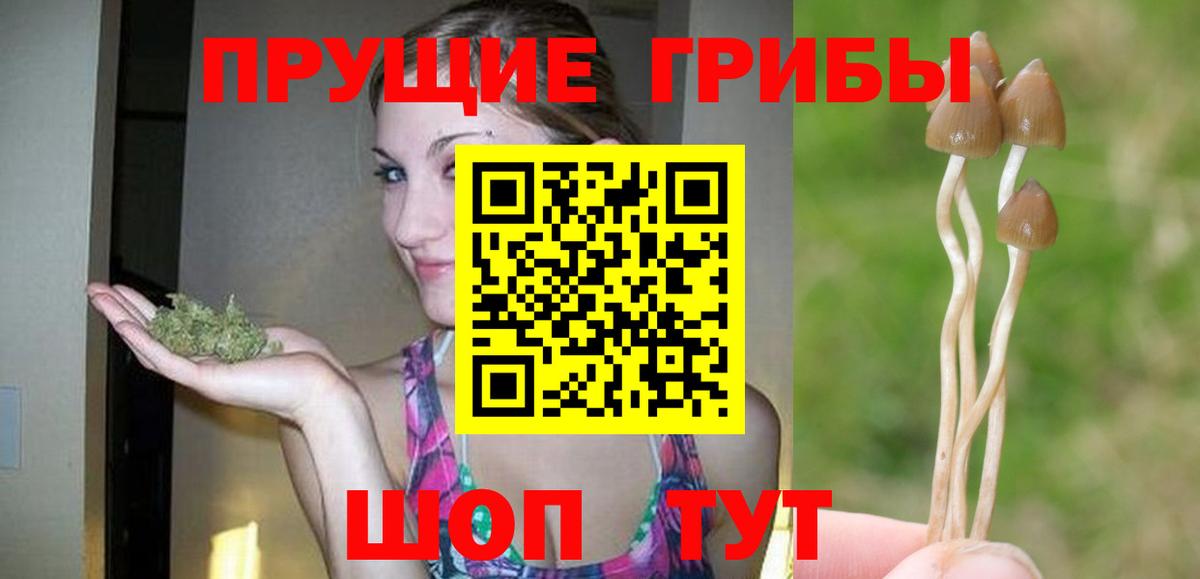 Орёл  Псилоцибиновые грибы MAGIC MUSHROOMS  Вход с VPN 